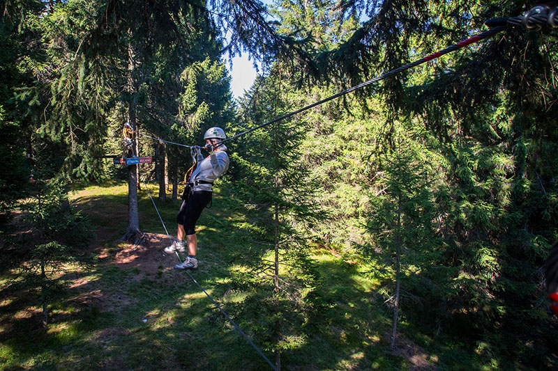 ponte tibetano al Forest Park Molveno